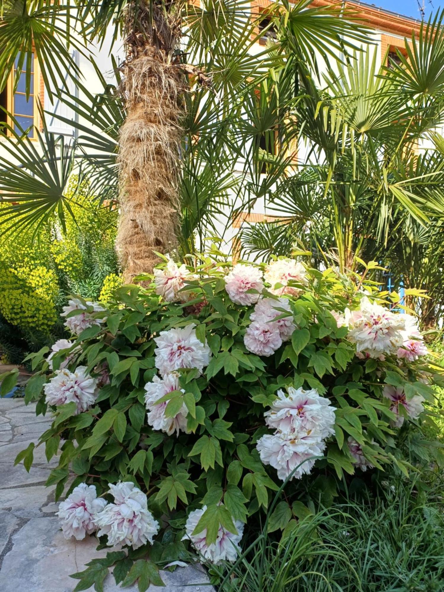 Le Relais De Lezat Hotel Kültér fotó